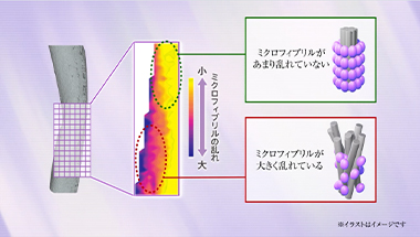 【研究解明】３D-CMADK