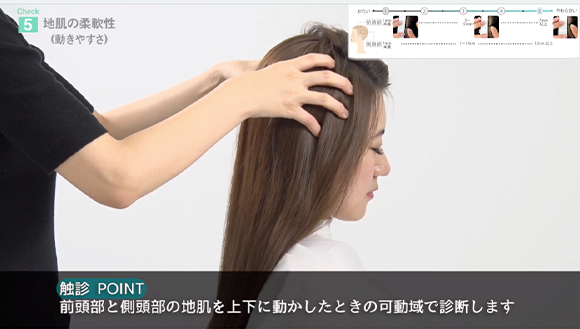 【テクニカル】髪と地肌の診断方法